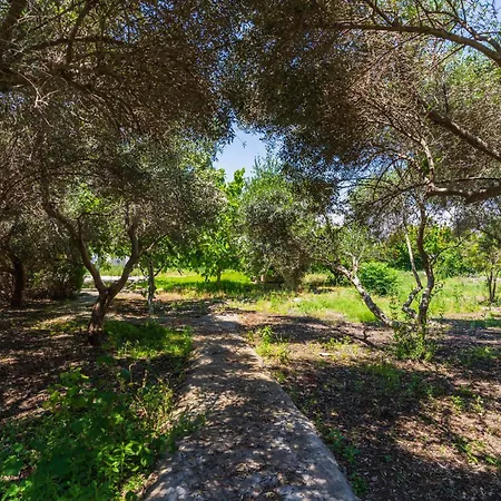 Peaceful 6br With Private Pool And Garden Kiti
